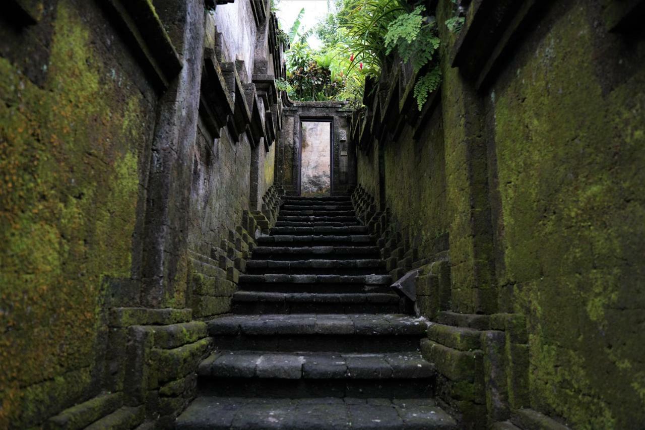 Ibah